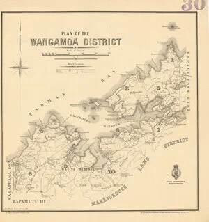 Plan of the Whangamoa District [electronic resource].
