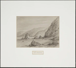 Swainson, William, 1789-1855 :Ki Warra, Wellington Road [ca 1845]
