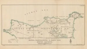 Reinga, Parengarenga & North Cape survey districts [electronic resource].