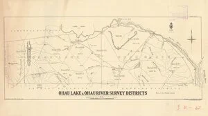 Ohau Lake & Ohau River Survey Districts [electronic resource] / S.A. Park, Jan. 1924.