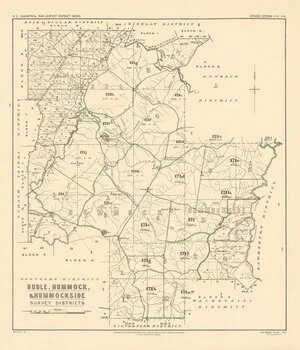 Budle, Hummock, & Hummockside survey districts [electronic resource].
