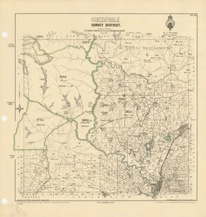 Greenvale Survey District [electronic resource] / drawn by G.P. Wilson, August 1888.