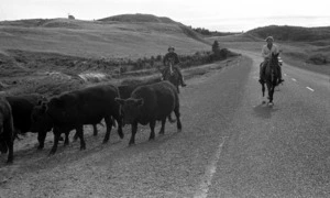 Pastorale, Near Hunterville