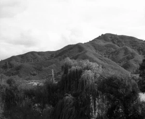 Landscape with Waikato
