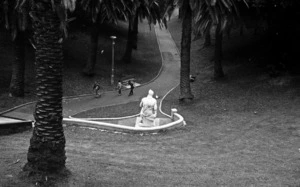 Young man reading, Myers Park, Moses