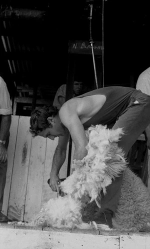 Shearing contest, Maggy Eyre