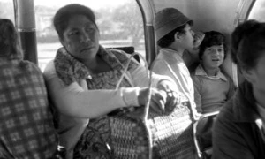 Bus, Polynesian family