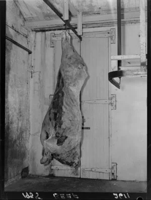 Beef carcass hanging at the abattoir