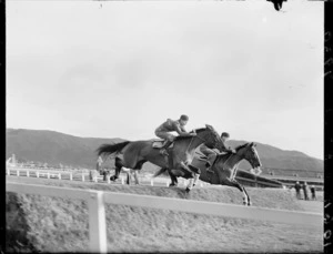 Trials for Wellington steeplechase