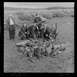 Lakeside scene, featuring unidentified hunters with their guns, dogs, and birds [swans? geese?] carcasses, near a lake at the opening of the duck shooting season