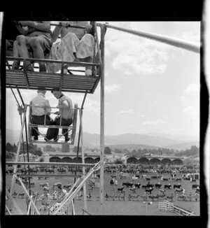 Carterton Show, view from Ferris Wheel