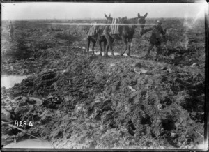 Soldier leading mules laden with munitions through mud, Kansas Farm, France