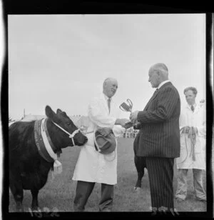 Presentation of a cup to the owner of a prize beast with ribbons, Carterton Show (Aberdeen Angus cow)