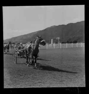 Trotters at Hutt Park Racecourse