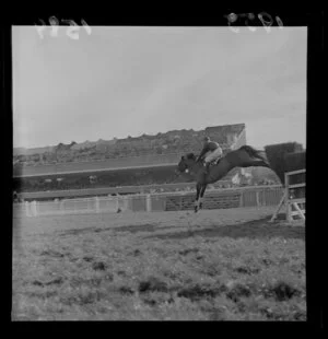 Horse jumping brushwood hurdle, Trentham, 9 July 1955