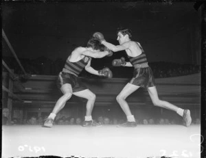 Wellington Amateur Boxing Championships