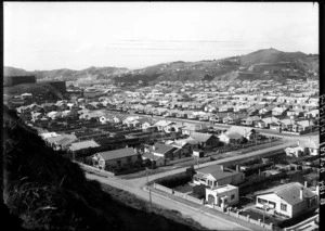 Houses in Miramar, Wellington