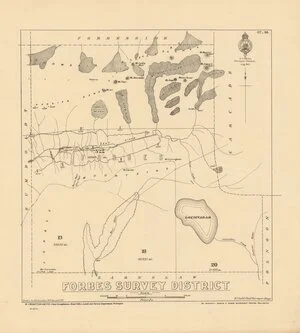Forbes Survey District [electronic resource] / drawn by A.H. Saunders, 1903.