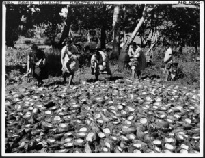 Women in Rarotonga, laying out halved coconuts to dry