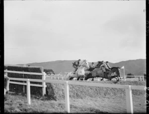 Trials for Wellington steeplechase