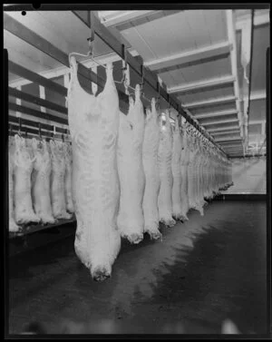 Meat carcases on chain