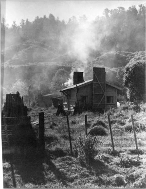 Dwelling in the vicinity of Campbell's Mill, Akatarawa - Photograph taken by James Walter Chapman-Taylor