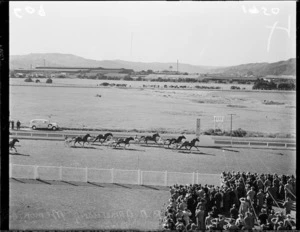 Trotting at Hutt Park