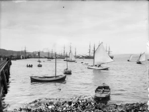 Boats, in Wellington Harbour