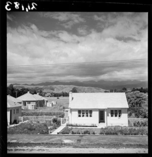 State house, Levin