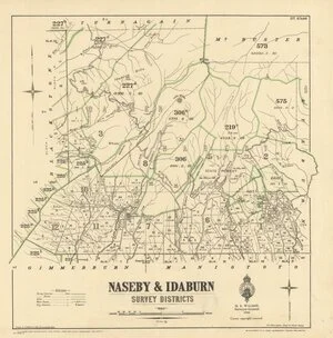 Naseby & Idaburn survey districts [electronic resource] / drawn by G.P. Wilson 1902, revised S.A.P. 1933.