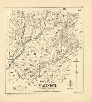 Blackstone Survey District [electronic resource] / drawn by G.P. Wilson, Feb. 1902.