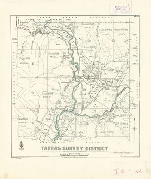 Tarras Survey District in the Vincent County [electronic resource]
