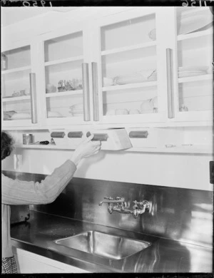 Kitchen cupboards and sink