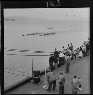 Rowing, Star Maiden (8 team) with Olympic prospects, Wellington Harbour