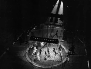 Horses performing in a circus ring