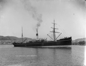 Steamship Mamari, Wellington Harbour