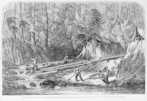 [Heaphy, Charles] 1820-1881 :The New Zealand gold field, discovery of gold near the source of the Kapunga Stream, Coromandel, about 40 miles from Auckland. Illustrated London news, 1853