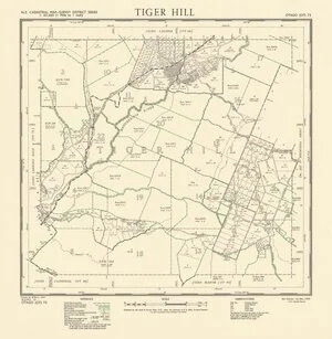 Tiger Hill [electronic resource] / drawn by D. Burt.