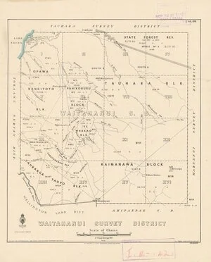 Waitahanui Survey District [electronic resource] / E.T.Healy delt. Sept. 1937.