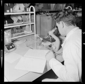 Man using microscope at the Central Institute of Technology, Petone, Wellington