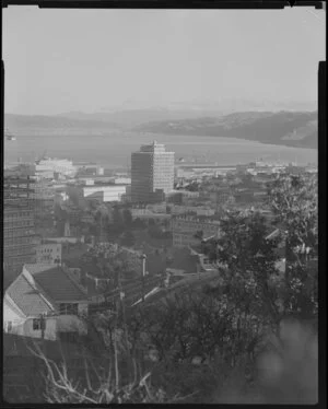 View of Wellington and the Hutt Valley from near the Meteorological Service building, Kelburn