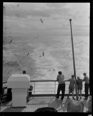 Passengers on stern of boat, with flock of seagulls, probably inter island ferry crossing Cook Strait