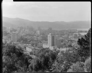 Nairn Street flats with city beyond, view from Brooklyn, Wellington