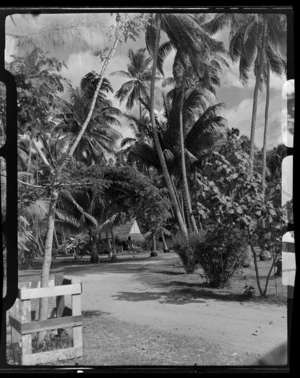 Tropique Hotel, Tahiti, showing huts and tall palm trees