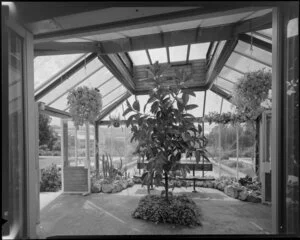 Gibbes Watson conservatory, Myrtle Street, Lower Hutt