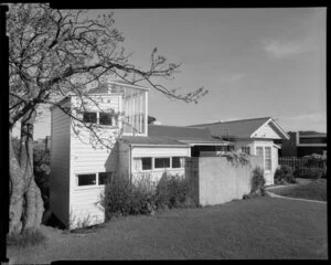 Exterior of Wild house