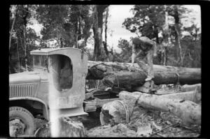 Logs loaded onto the back of a truck at an Akatarawa Company logging operation