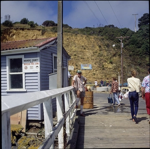 New Zealand (Auckland)