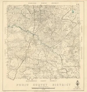 Puniu Survey District [electronic resource] / E.T. Healy, delt. 1933.