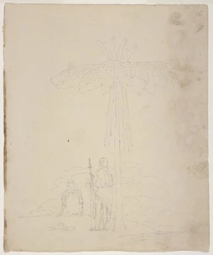 Wynyard, Robert Henry (Sir), 1802-1864: [Māori figures under a mamaku tree]